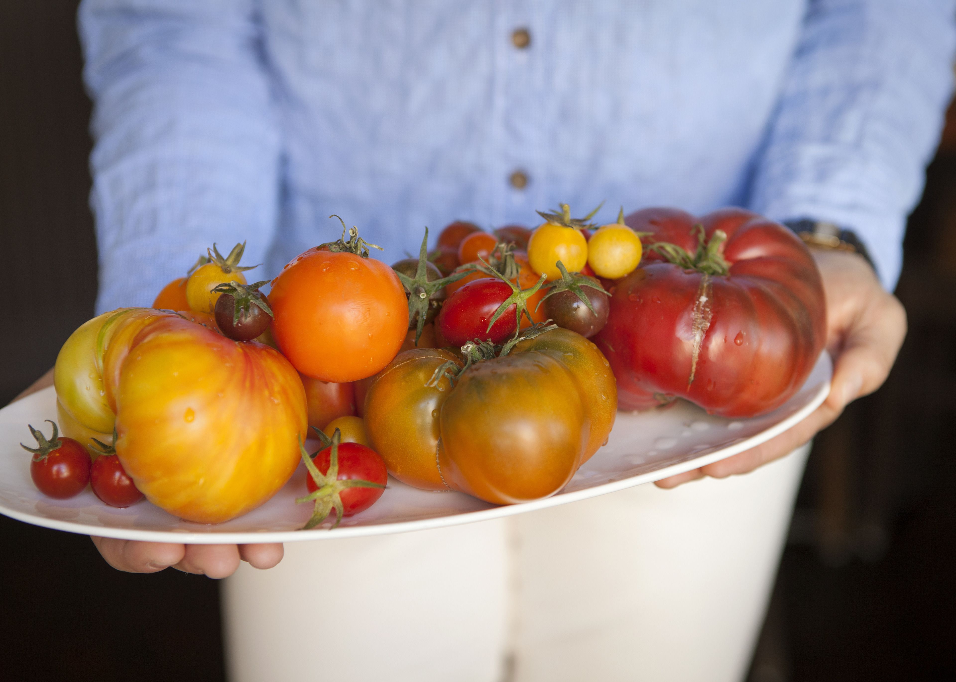 A person holding a plate with various tomatoes.