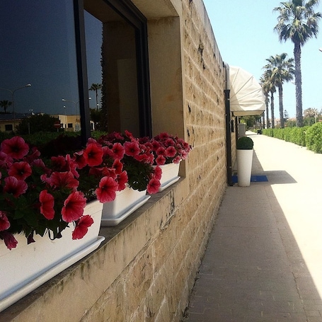 Exterior. Hotel Aria di Mare