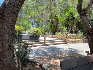 Un jardín con un camino empedrado, escalones de piedra y diversas plantas.