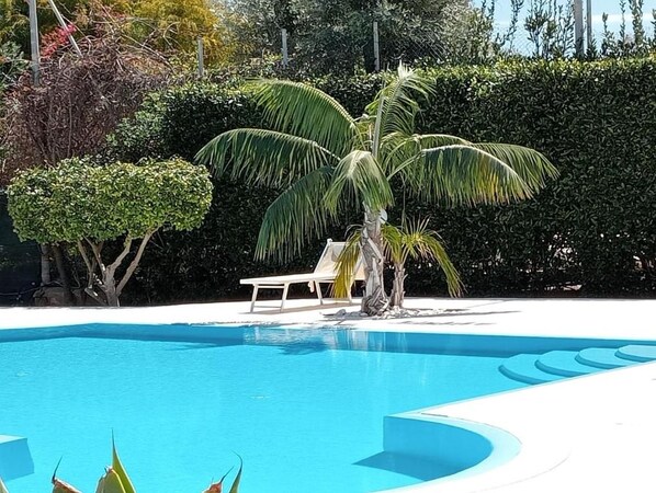 Una piscina con una palmera y una silla de descanso.