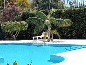 A swimming pool with a palm tree and a lounge chair. - Hotel Aria di Mare (Ragusa)