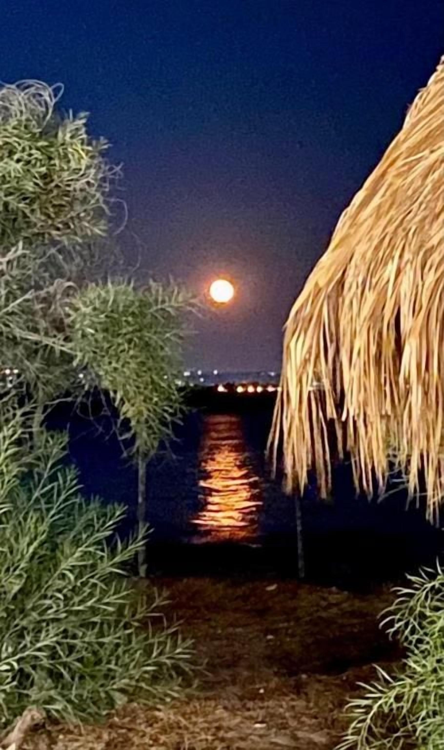 Vue nocturne d’une plage avec une structure à toit de chaume et un pont en arrière-plan.