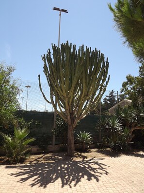 Jardín