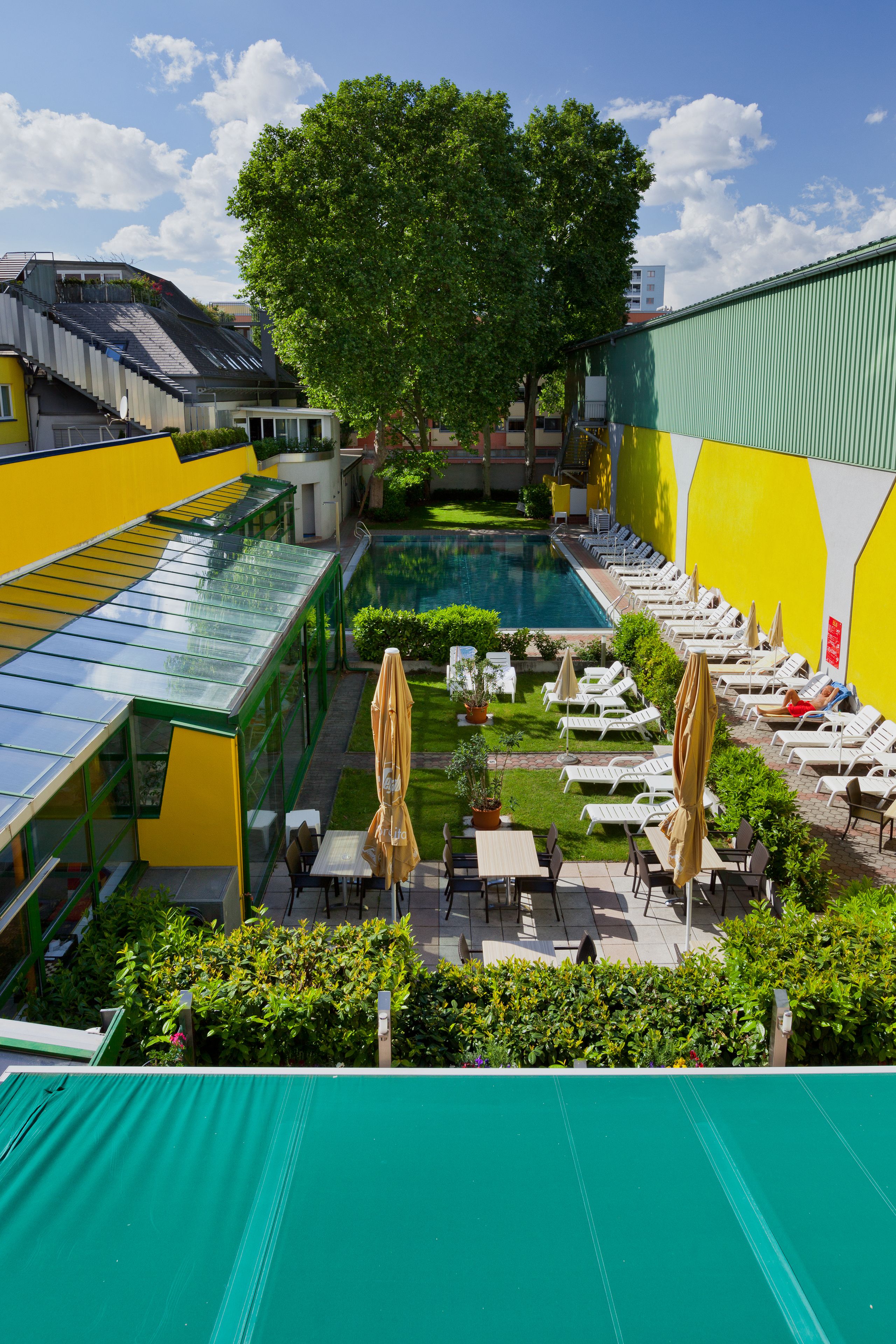 Een dakterras met een zwembad, ligbedden en parasols, omringd door groen en een grote boom.