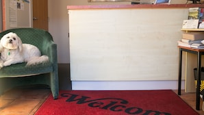 Een receptiegedeelte met een groene stoel, een wit receptiebalie, een rode welkomstmat en een schilderij aan de muur.