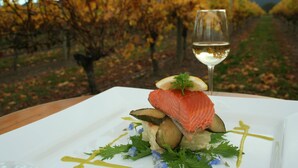 Een bord met zalm, paddenstoelen en groen, met een glas witte wijn en een wijngaard op de achtergrond.