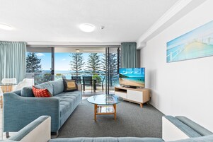 电视、DVD 播放器