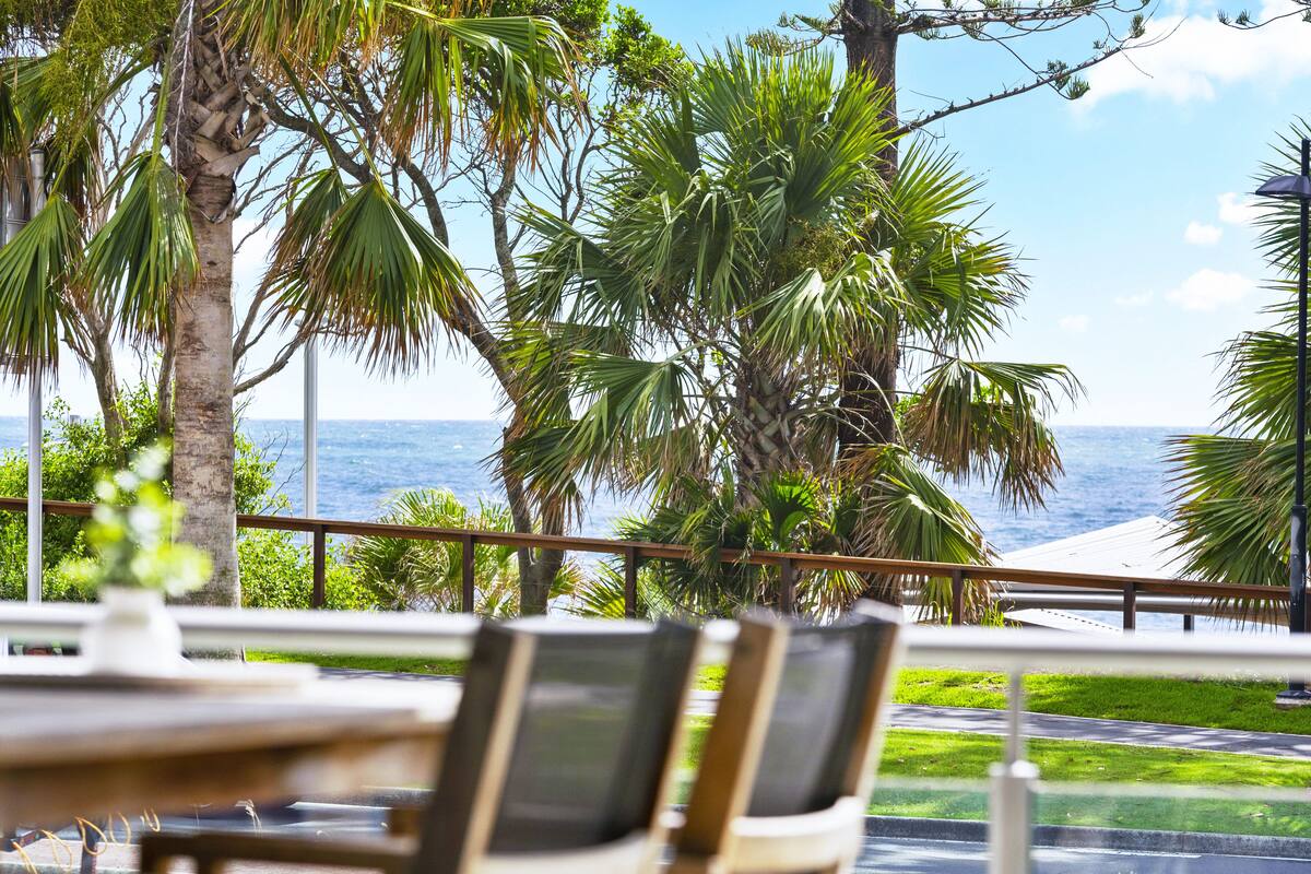 A view from a balcony overlooking a palm tree-lined walkway with a view of the ocean.