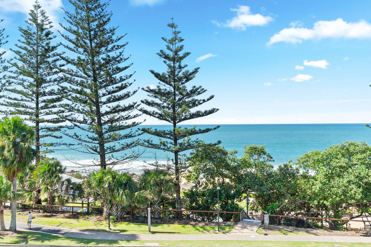 A coastal view with tall trees, a pathway, and a beach in the background.