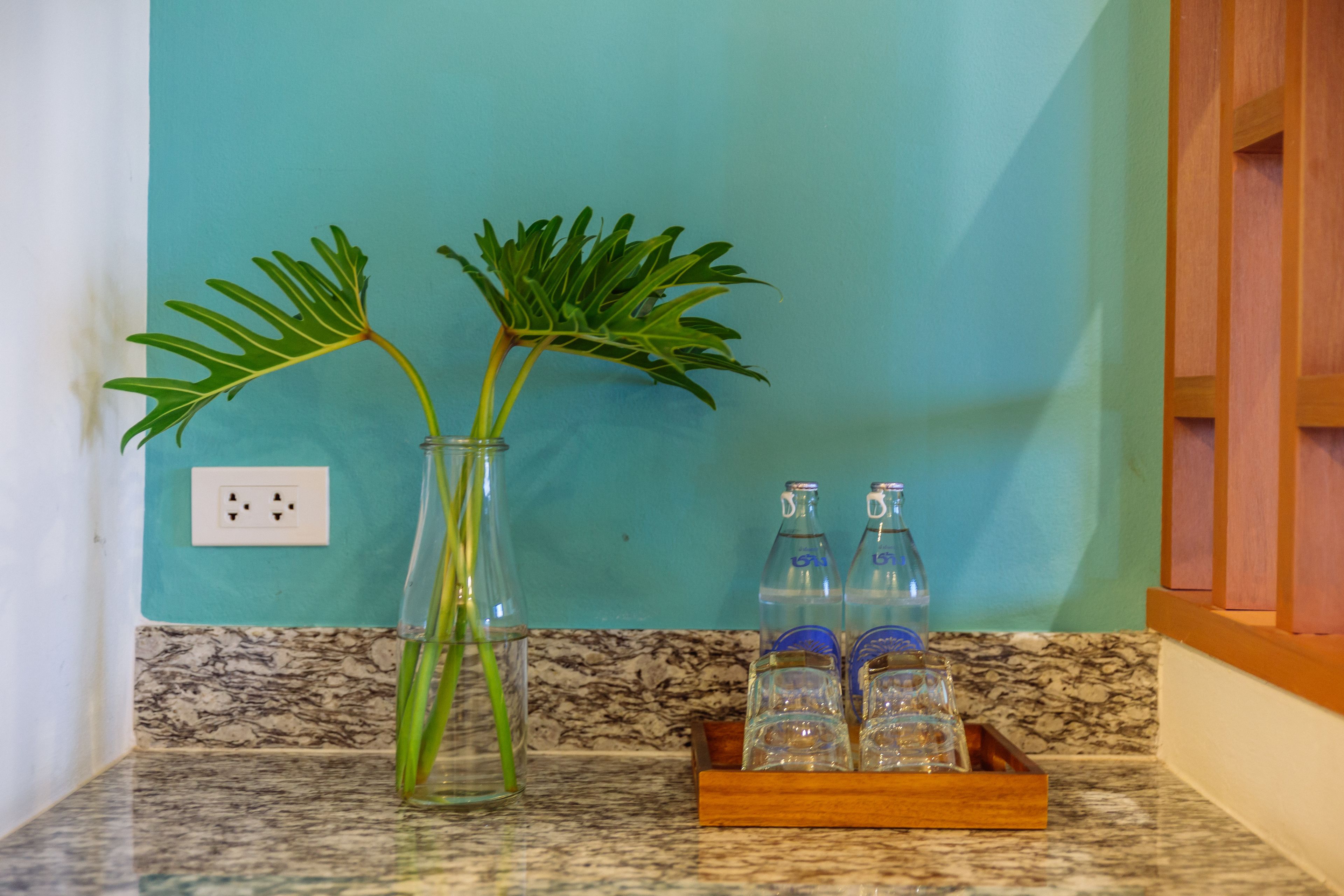 A kitchen counter with a vase containing green plants, a tray with glasses, and a blue wall with a power outlet.