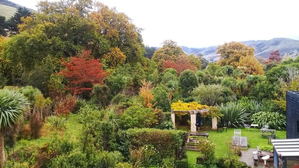 Un jardín exuberante con diversos árboles y arbustos, un pequeño patio con mobiliario exterior, y vistas a colinas distantes.