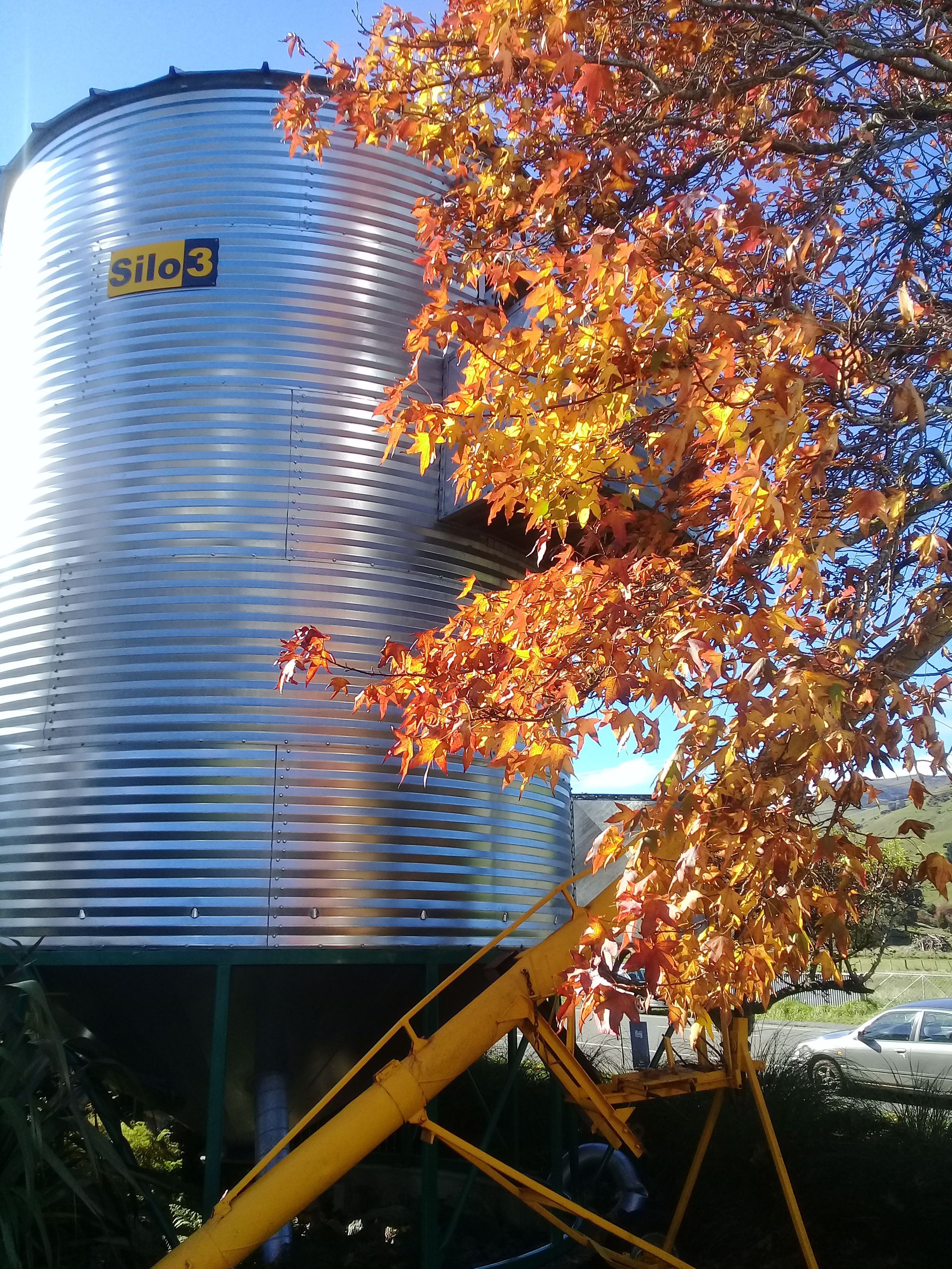 En silo med mærkaten "Silo 3", med en gul stige, omgivet af efterårsblade.