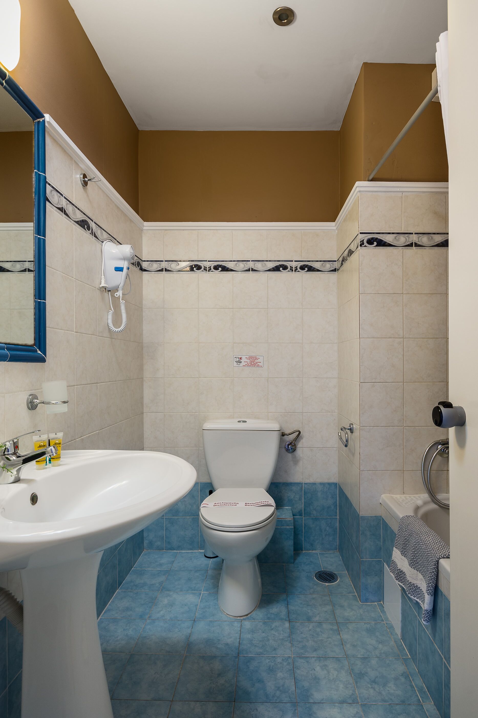 combined shower/bathtub, free toiletries, hair dryer, towels