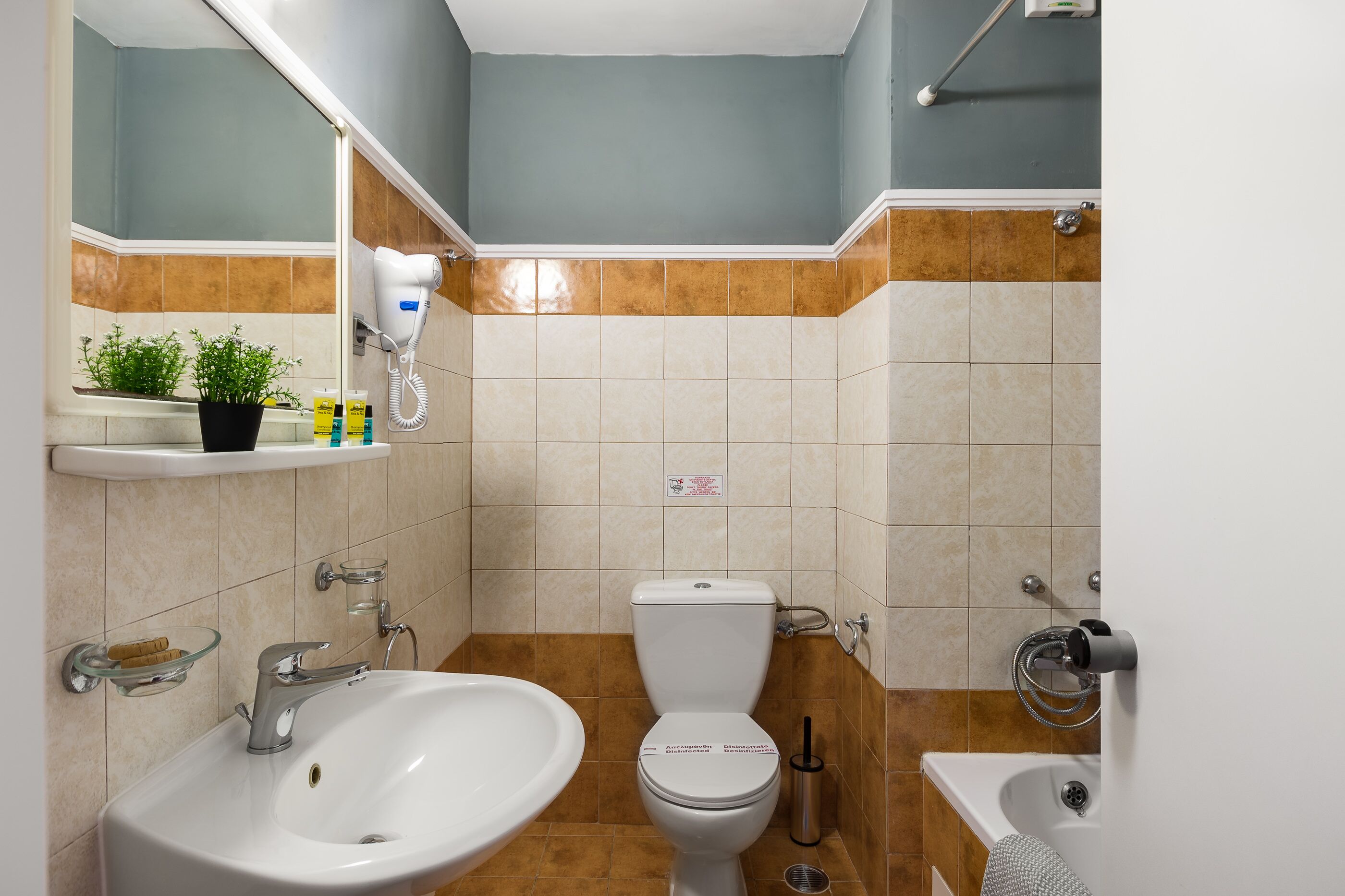 combined shower/bathtub, free toiletries, hair dryer, towels