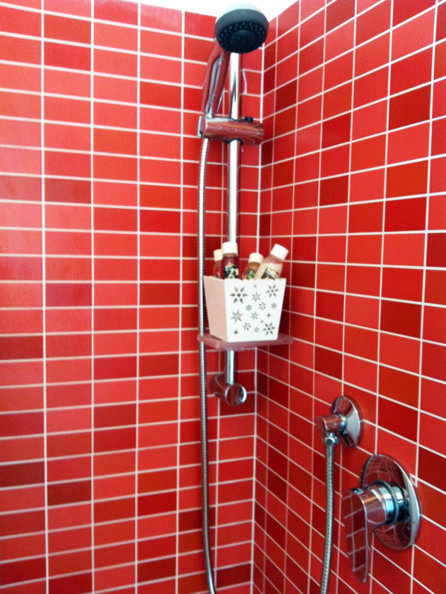 A shower area with a red tiled wall, a handheld showerhead, a wall-mounted faucet, and a soap dispenser.