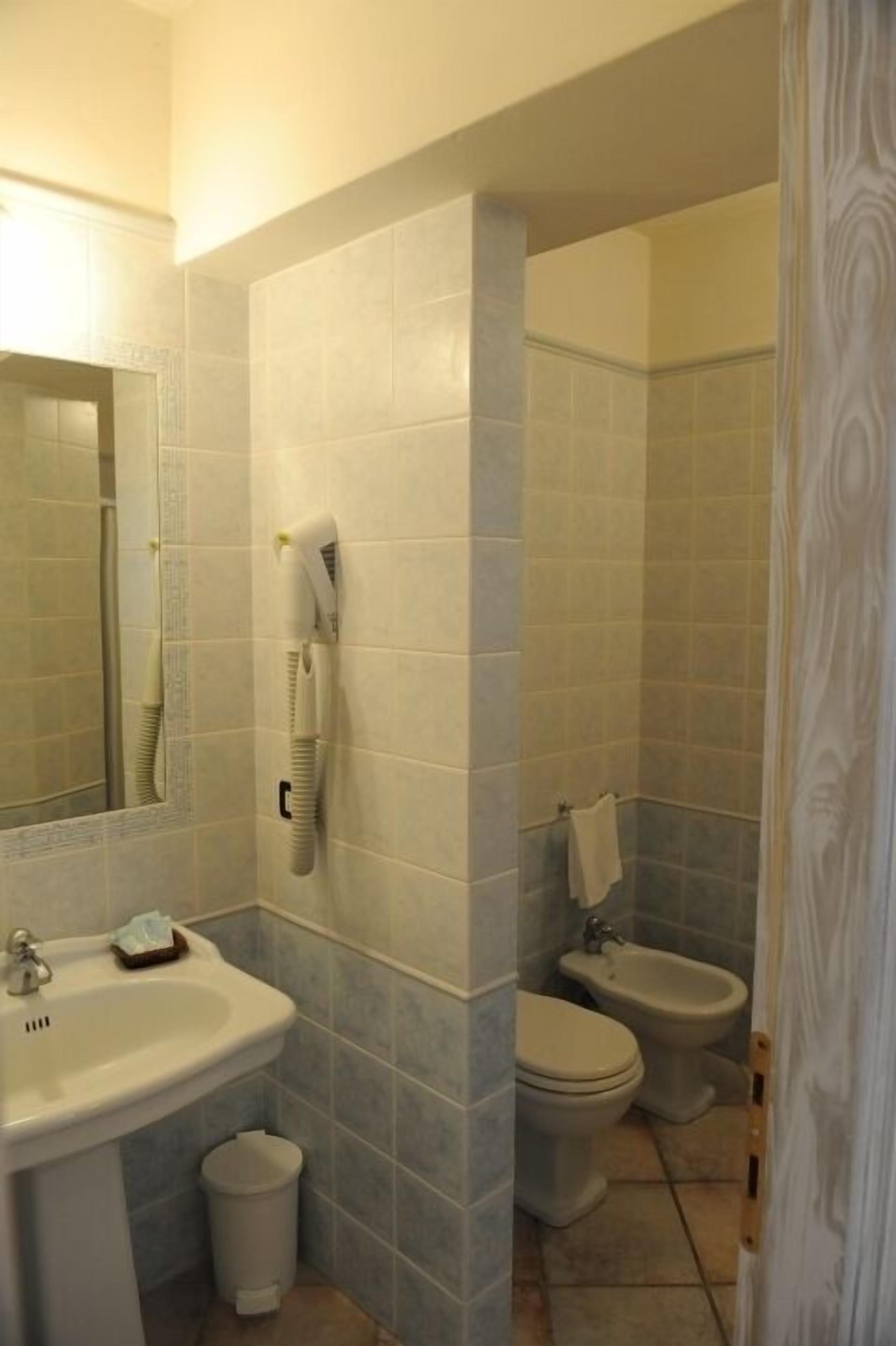 shower, free toiletries, hair dryer, bidet