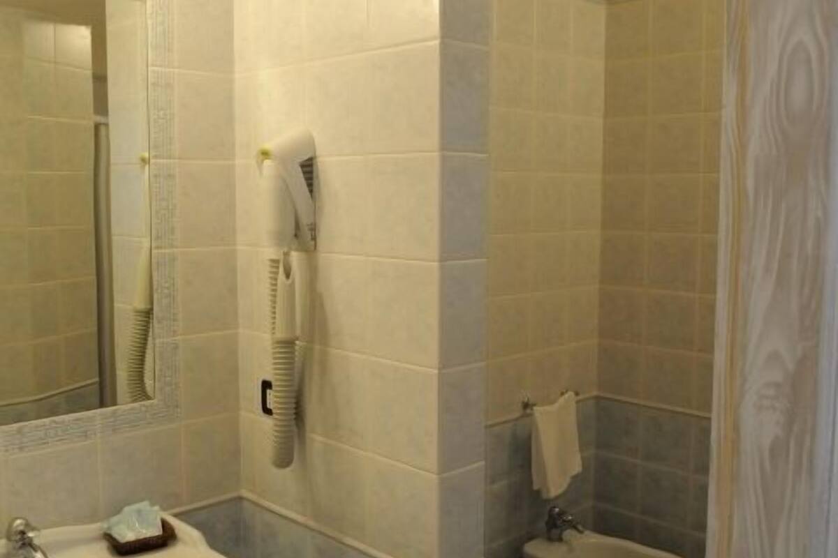 shower, free toiletries, hair dryer, bidet
