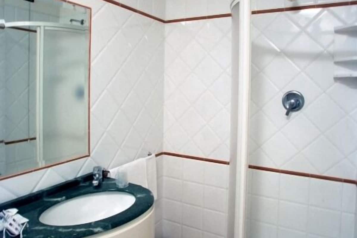 shower, free toiletries, hair dryer, bidet