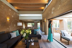 42-英寸纯平电视（配备卫星频道）、液晶电视、加热地板