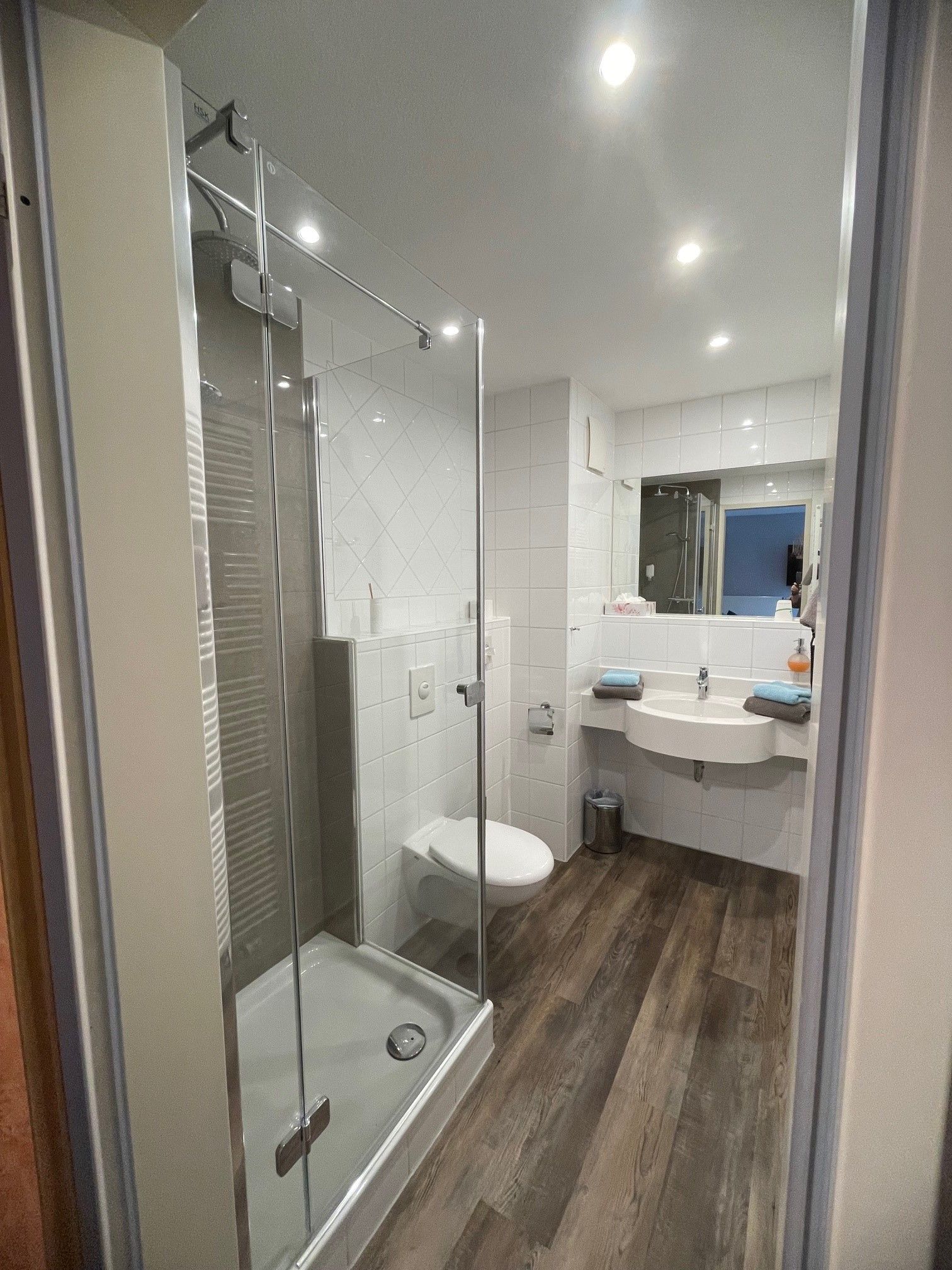 A modern bathroom with a glass-enclosed shower, a white toilet, and a sink with a mirror above it.
