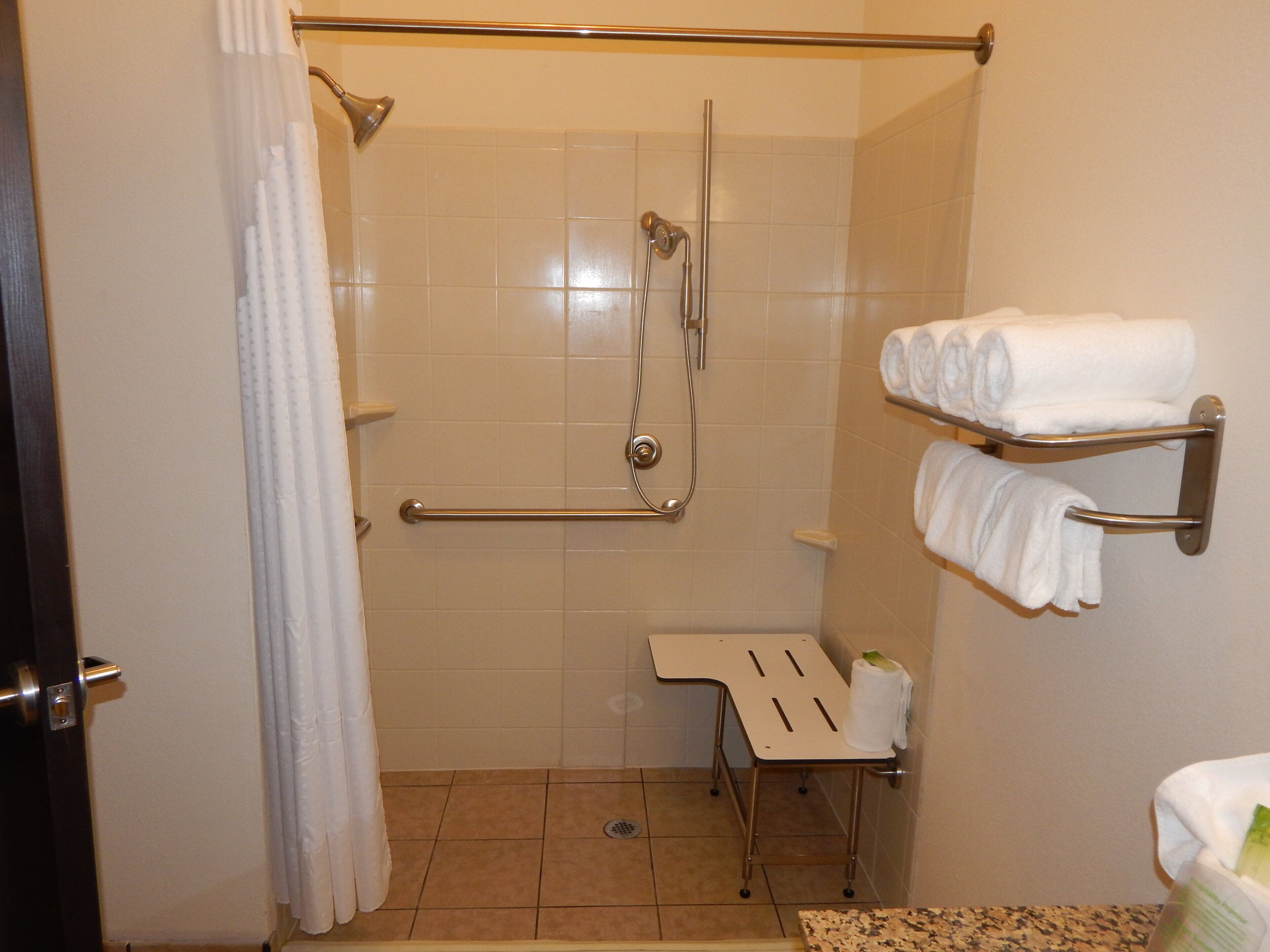 A shower area with a grab bar, a towel rack, and a toilet.
