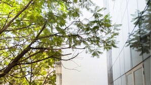 An outdoor seating area with tables and chairs, surrounded by trees and a modern building.