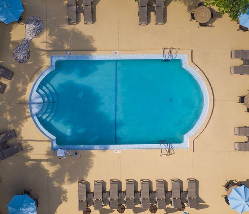 Vista aérea de una piscina rectangular con borde de azulejos, rodeada de sillas de descanso y sombrillas.