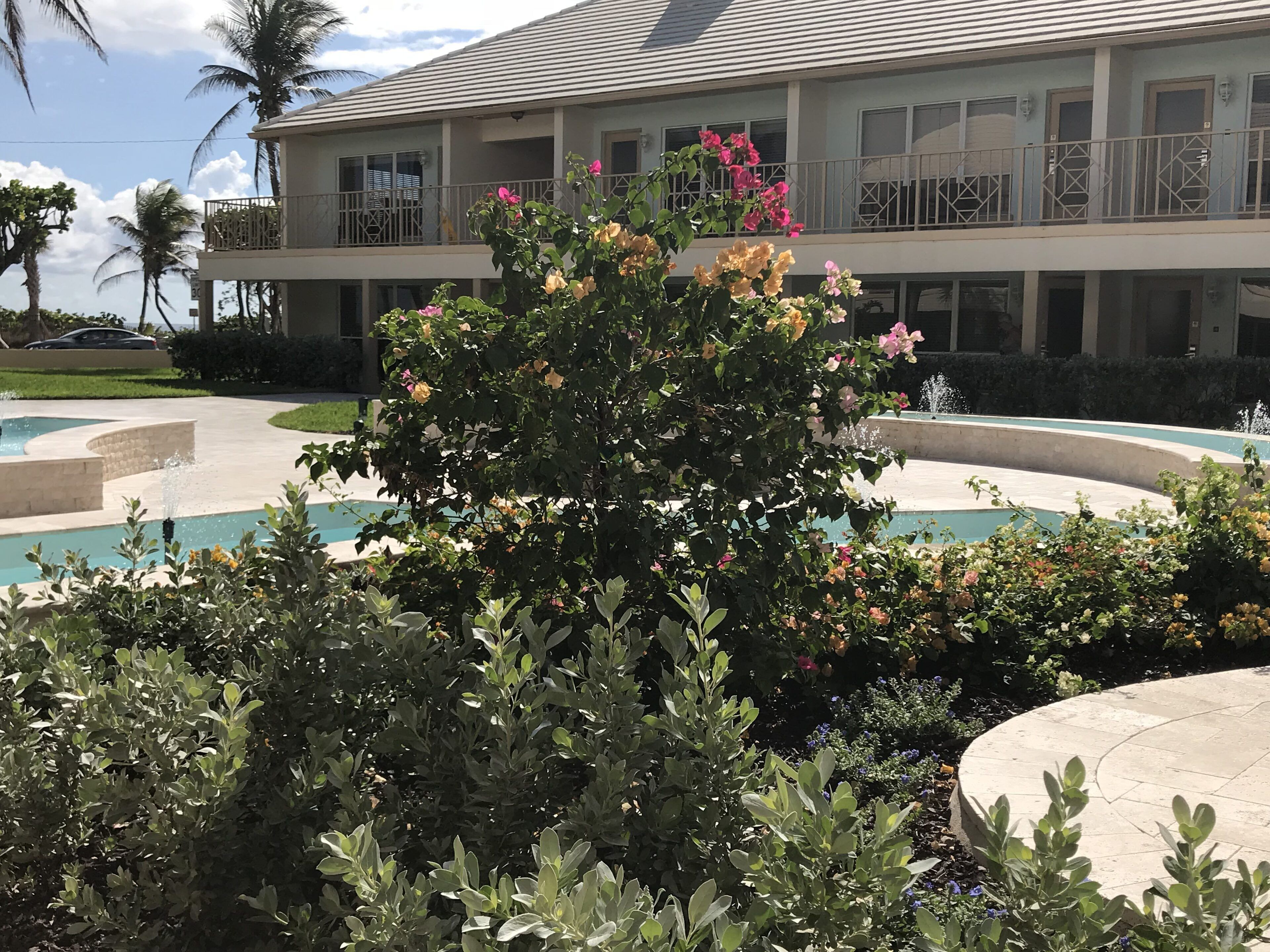 Un hotel con zona de piscina, rodeado de exuberante vegetación y plantas en flor.