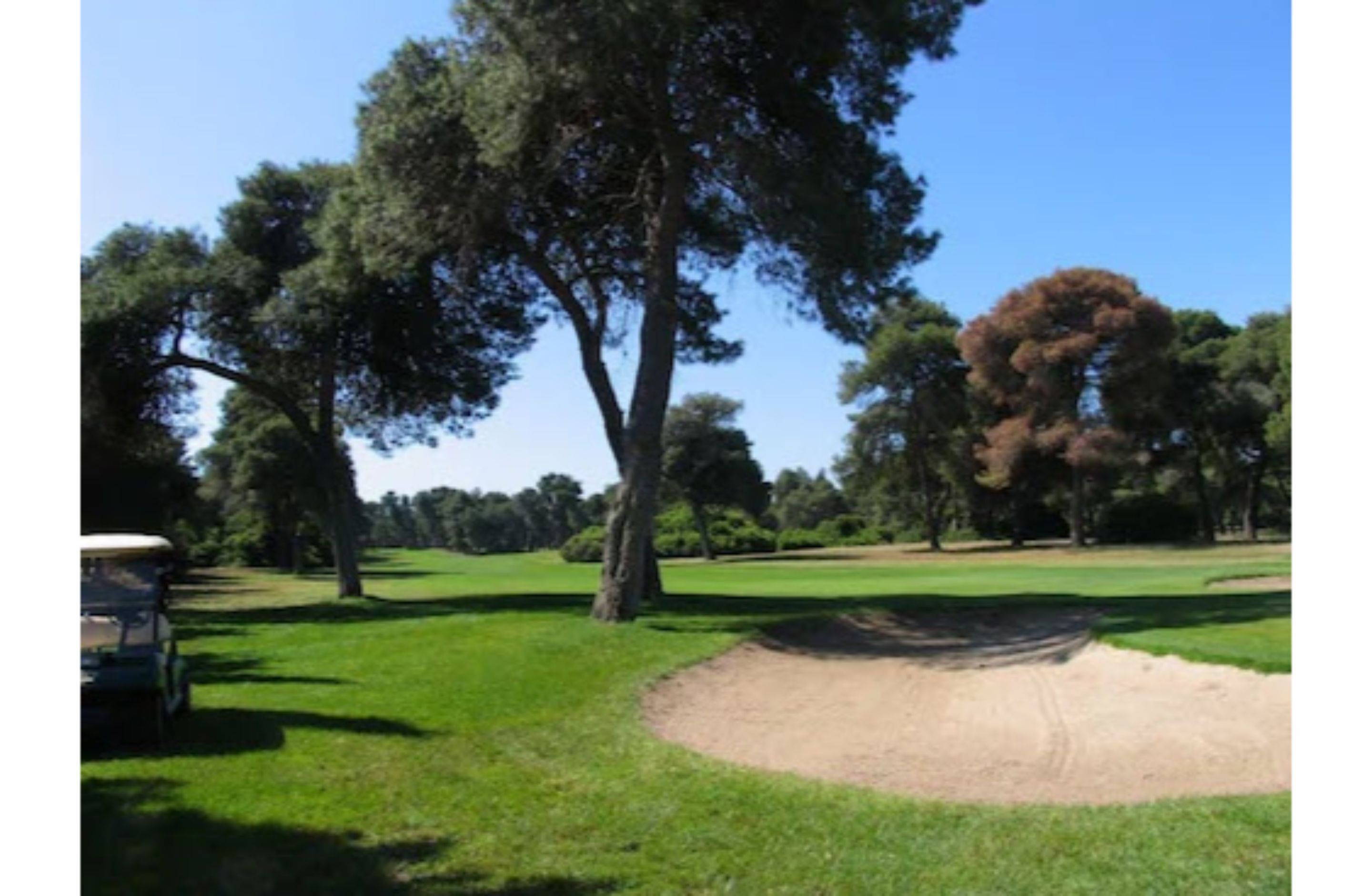 A golf course with a sand bunker, trees, and a golf cart.