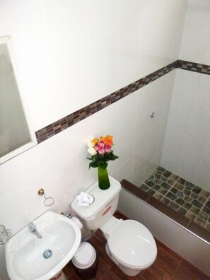 Doppelzimmer | Badezimmer | Dusche, Haartrockner