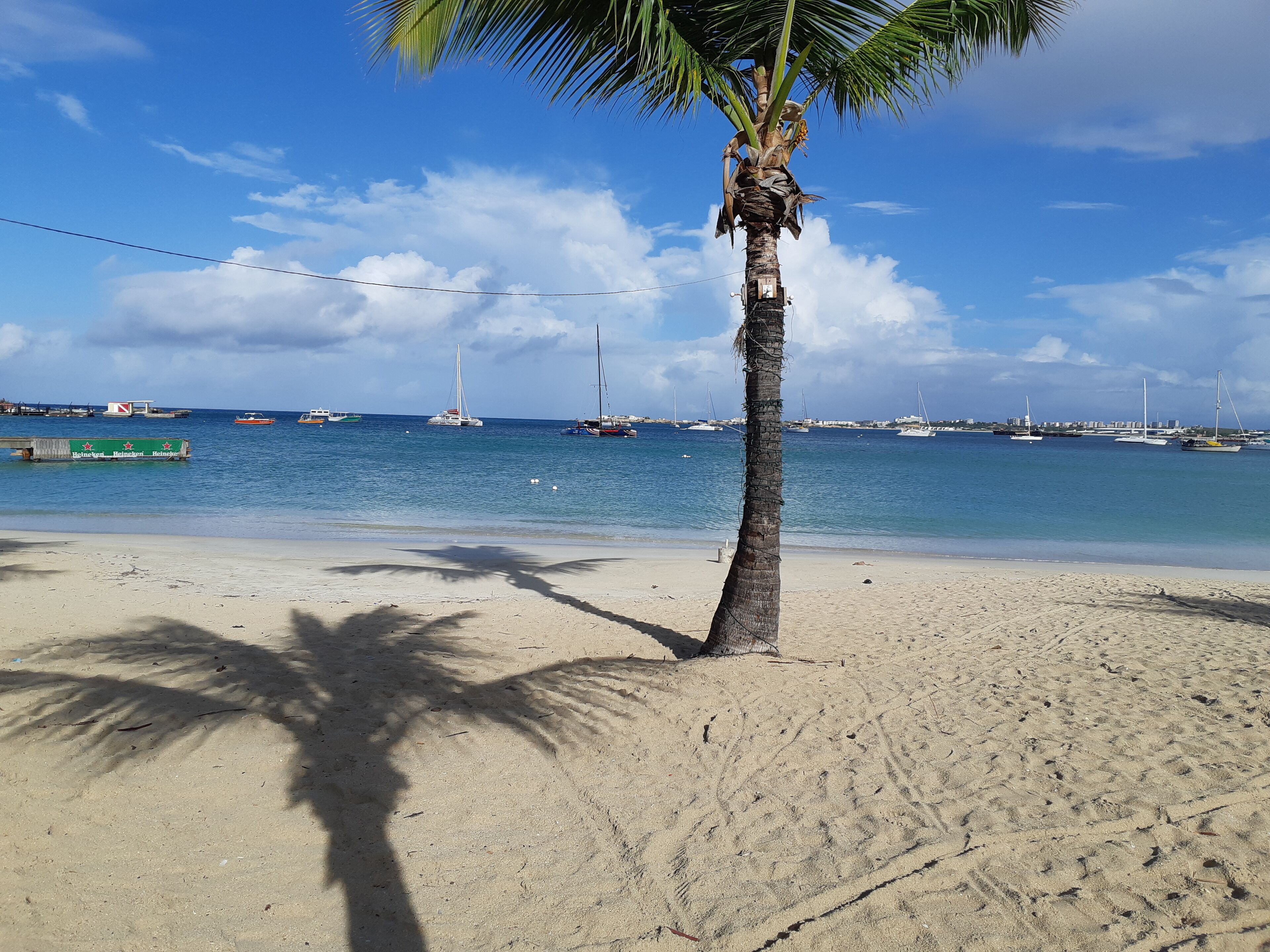 Ein Strand mit einer Palme, blauem Himmel und Booten im Wasser.