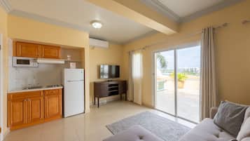 Full-sized fridge, microwave, oven, stovetop
