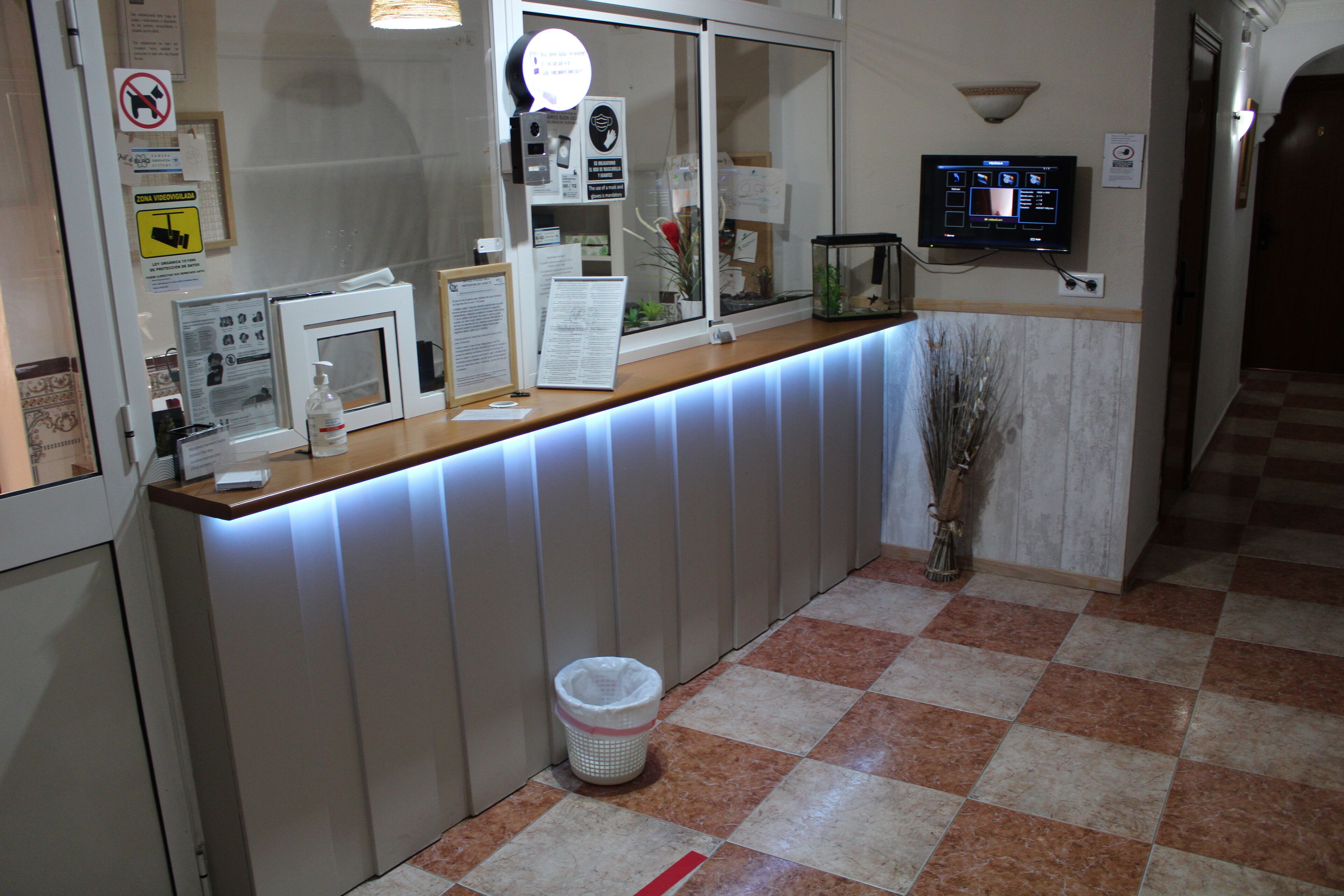 Photo - Virgen del Rocío