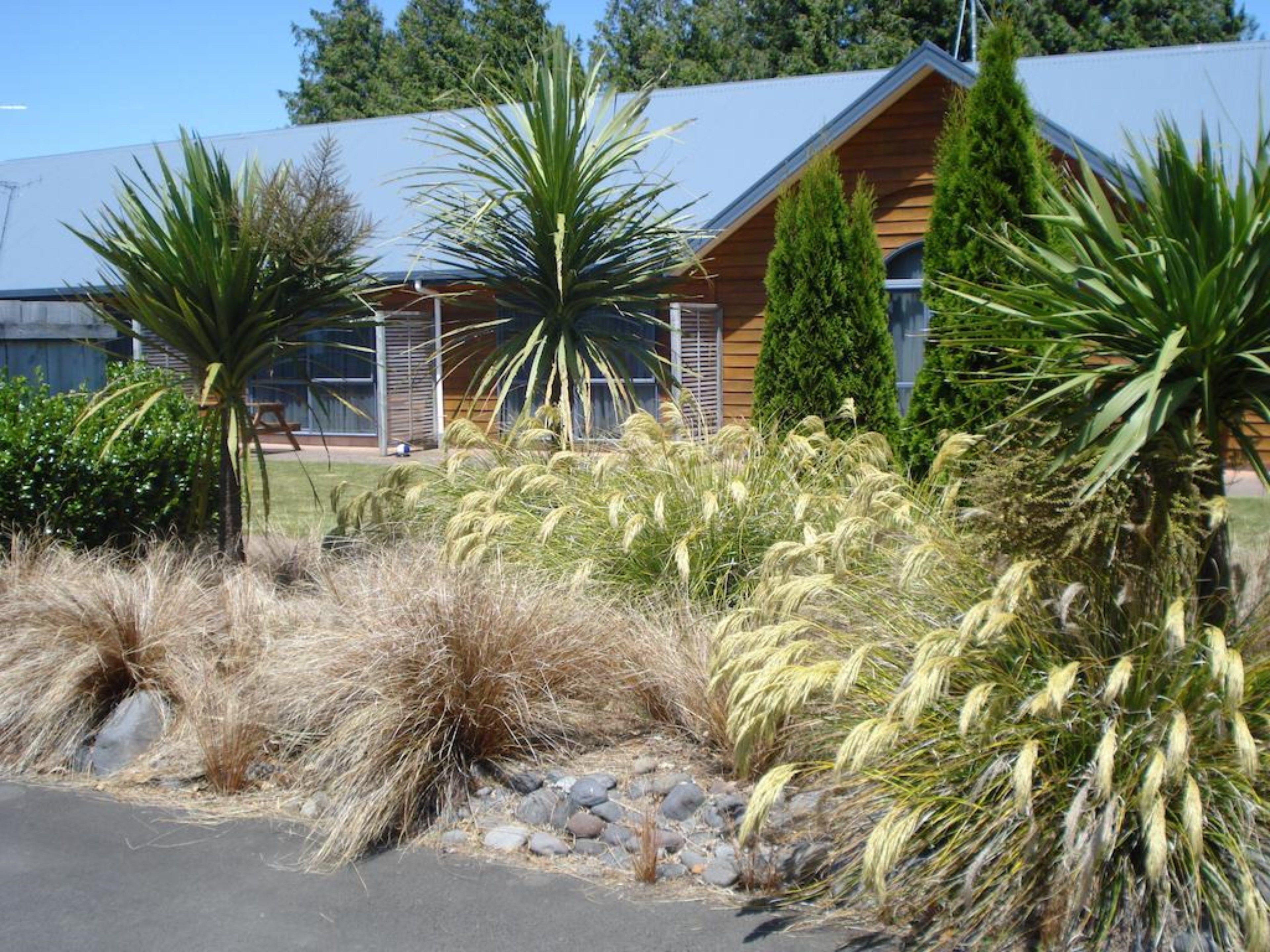 A modern house with a sloped roof, surrounded by a variety of plants and shrubs.