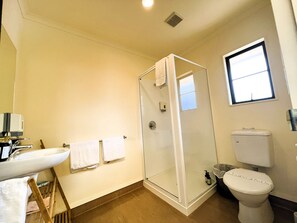 A bathroom with a glass shower enclosure, a sink, a toilet, and a window providing natural light. - The Peaks Motor Inn (Ohakune)