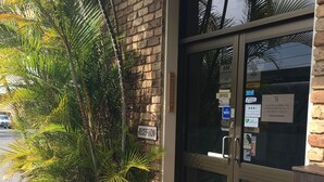 A reception area with a glass door, a reception sign, and a small palm tree.