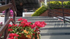 Una escalera conduce a un edificio con techo cubierto, rodeado de plantas y flores en macetas.