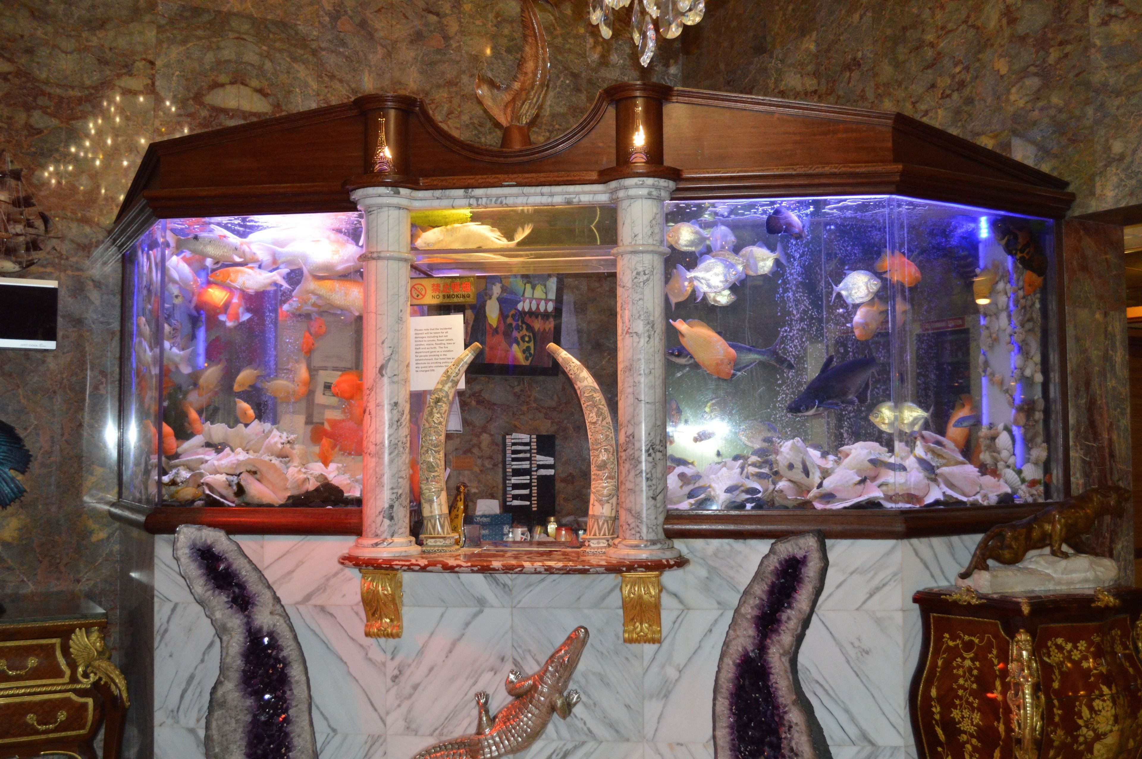 A large aquarium with various fish and a decorative alligator sculpture.