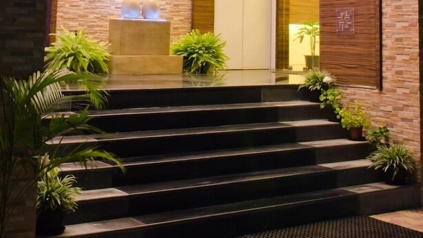 Una entrada moderna a un edificio con una escalera que lleva a una puerta, rodeada de plantas en macetas.
