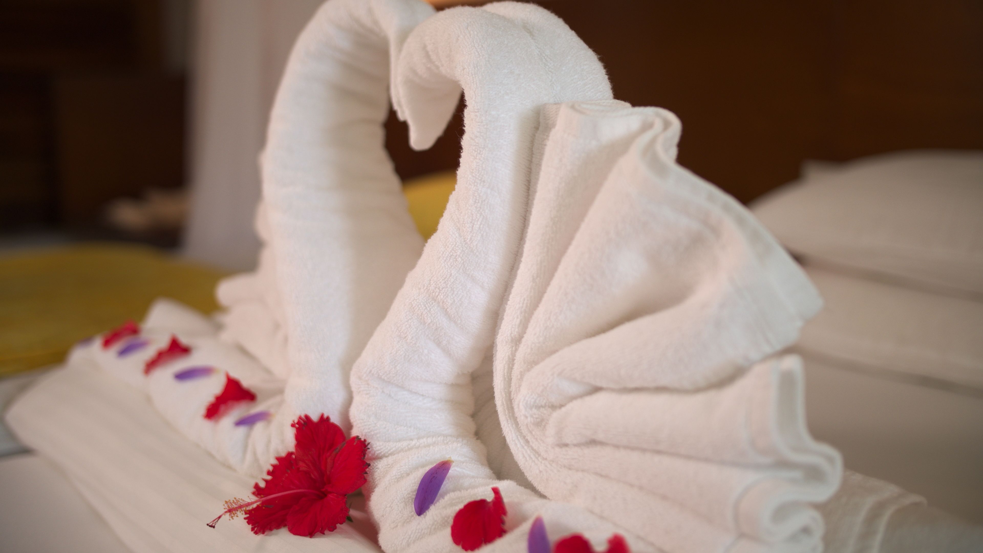 Un lit avec des serviettes blanches pliées en forme de cygnes, décoré de pétales de fleurs rouges et violettes.