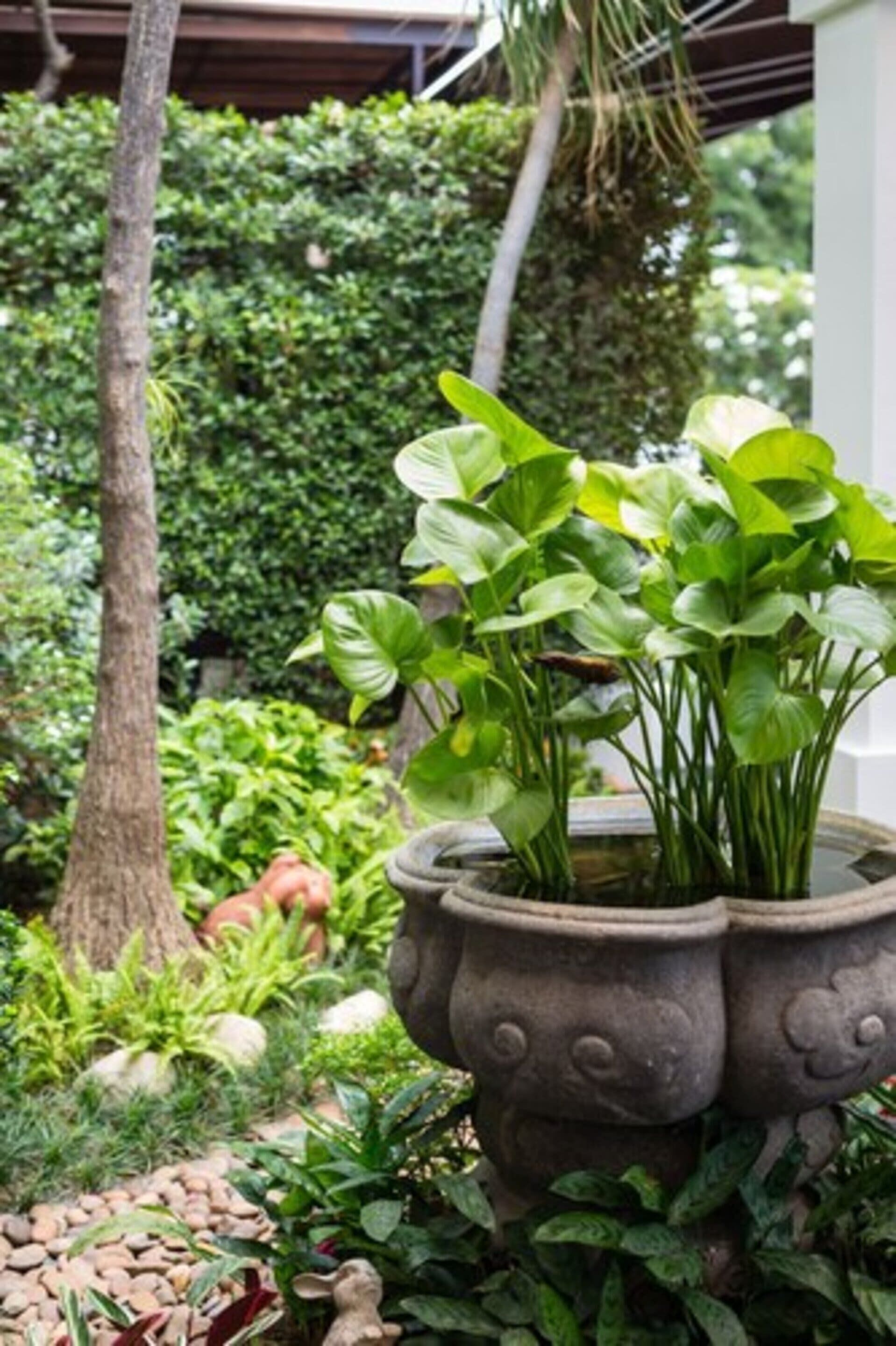 Foto - Asia Hotels Group - Poonpetch Chiangmai