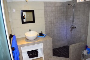 Shower, free toiletries, hair dryer, towels - Mountain View (La Gaulette)