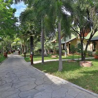 Caja de seguridad en la habitación y cortinas blackout 