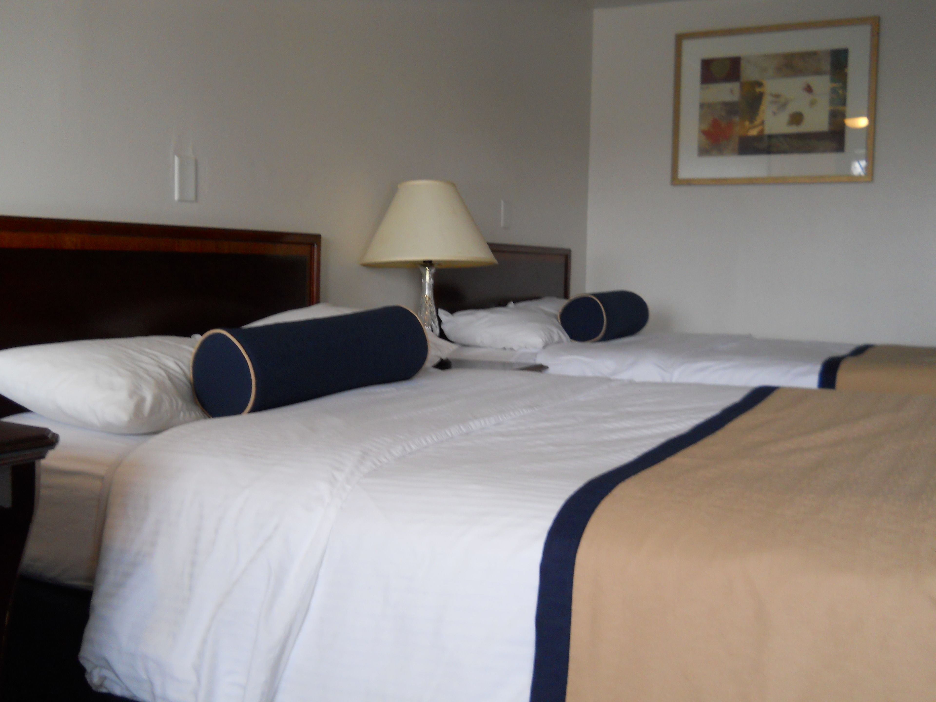 Superior Room | Desk, free WiFi, bed sheets