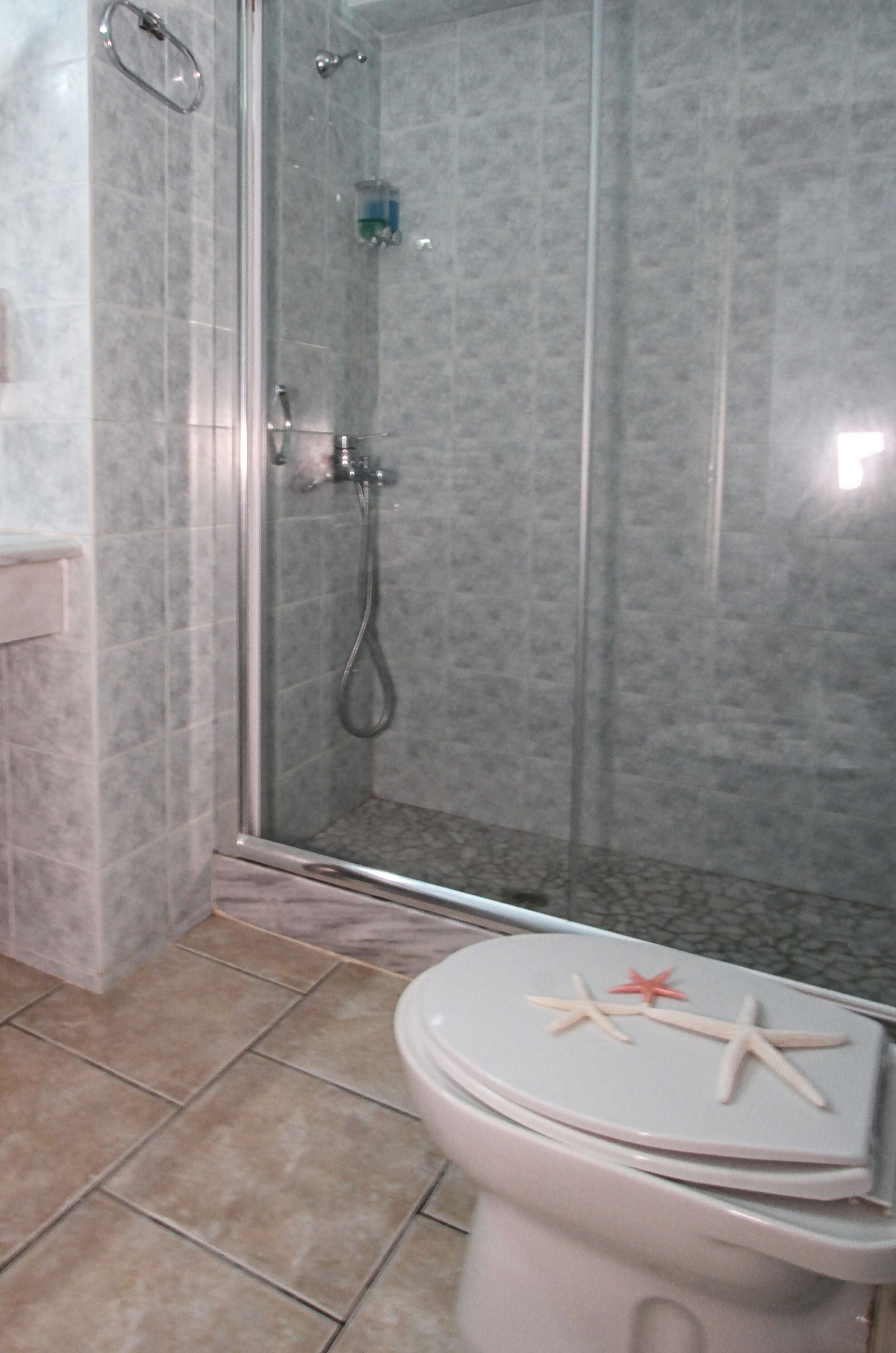 A bathroom with a glass-enclosed shower, a toilet with a decorative lid, and a towel rack.