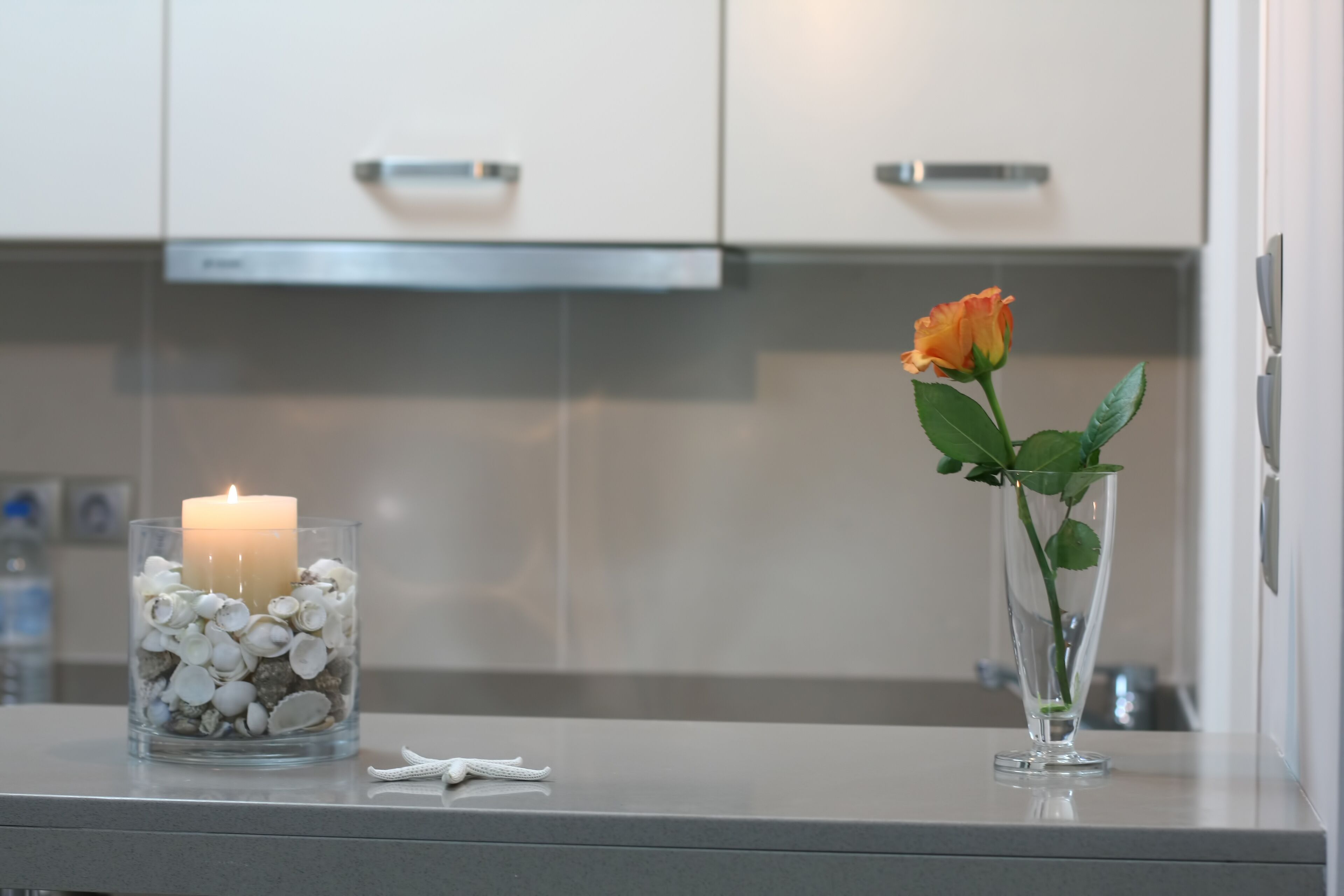 deluxe studio, 1 king bed, beach view, beachfront | egyptian cotton sheets, premium bedding, in-room safe, desk