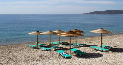 Chios Xenia Studio & Apartments