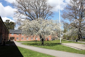 Blick auf den Garten
