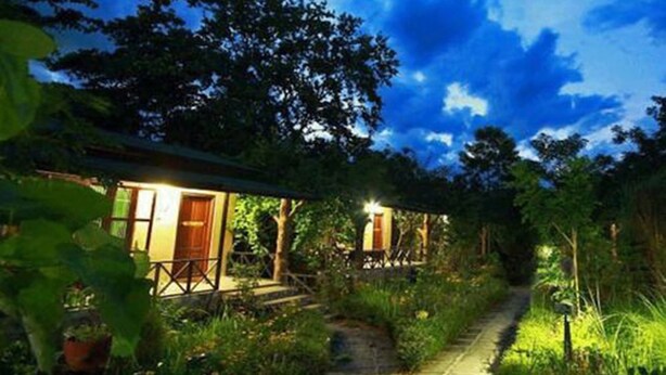 A pathway leading to a building surrounded by trees. - Chitwan Gaida Lodge (Sauraha)