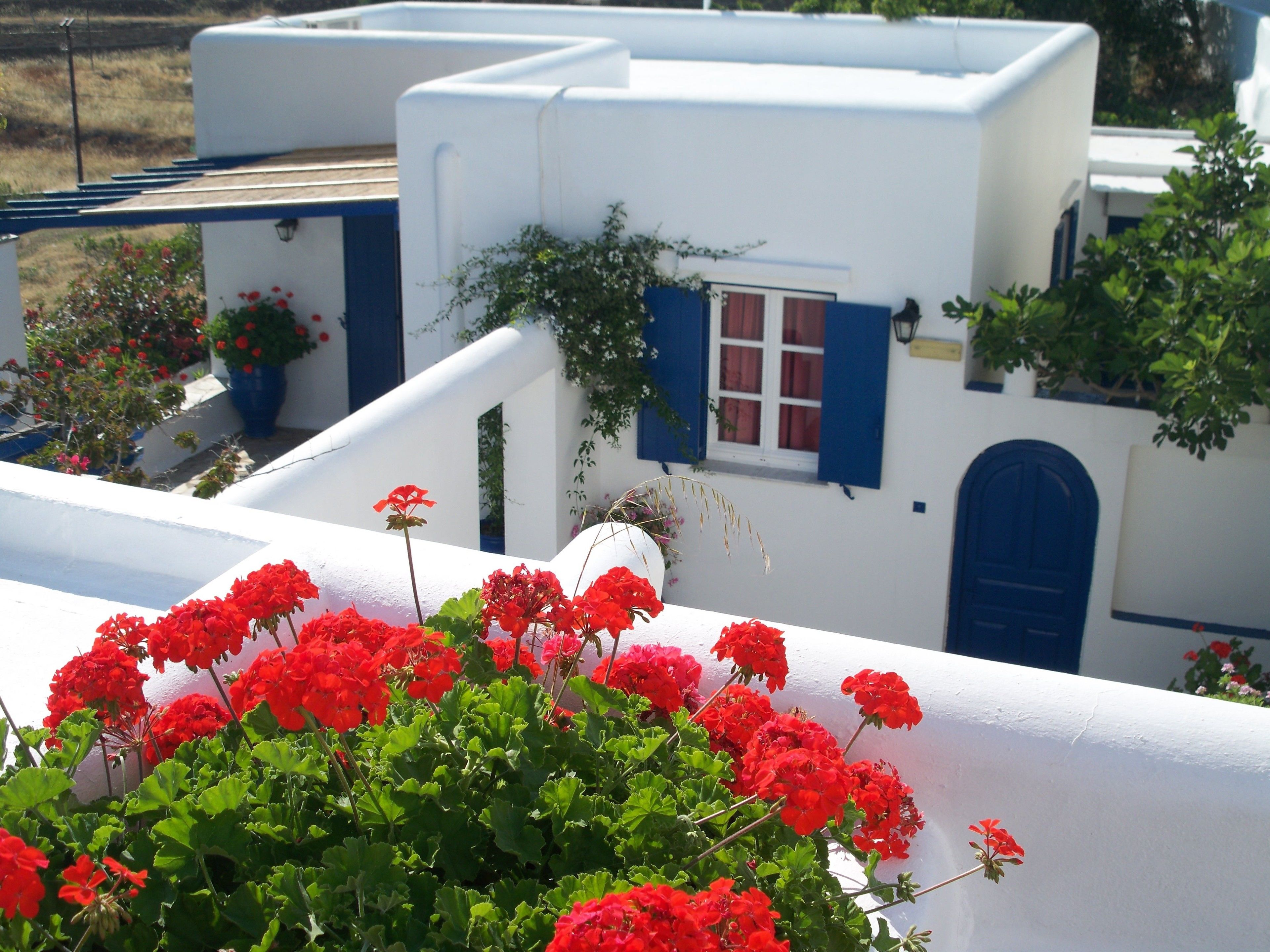 Un bâtiment blanc avec des volets bleus et une porte, entouré de verdure et de fleurs rouges.